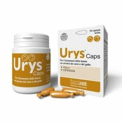 Innovet Urys Caps