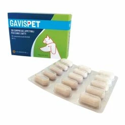 Vet Bros Gavispet