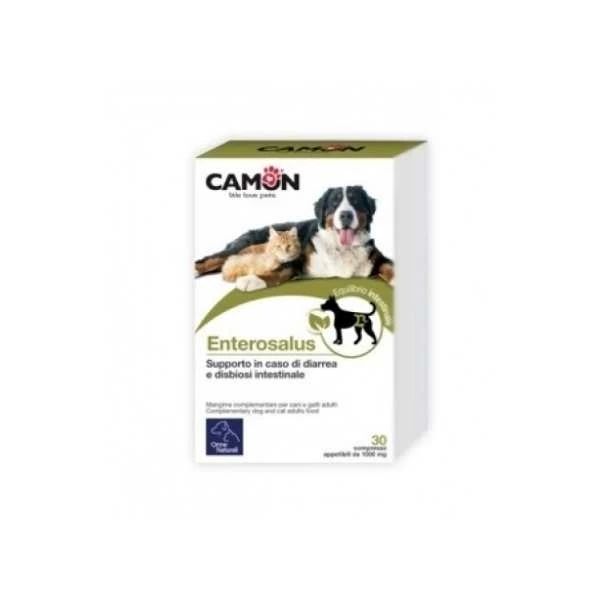 CAMON Enterosalus Compresse