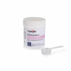 CAMON Enterosalus