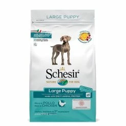 Schesir Dry Line Large Puppy Mantenimento Con Pollo