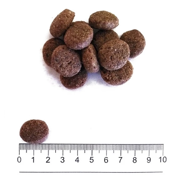 ProLife Smart Adult Medium/Large Trout & Rice - immagine 2