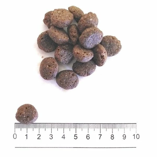 ProLife Dual Fresh Adult Medium/Large Salmon Codfish & Rice - immagine 2