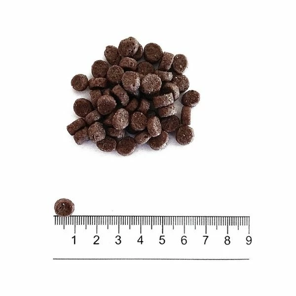 ProLife Dual Fresh Adult Mini Buffalo Lamb & Rice - immagine 2